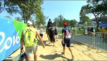 토요경마 , 일요경마 ,^RACC33.CoM^ 서울경마