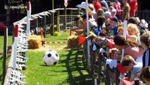 Rasherford v Hog-ba: Devon farm holds adorable World Cup-themed pig race