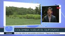 Colombia usará otra vez glifosato contra cultivos ilícitos