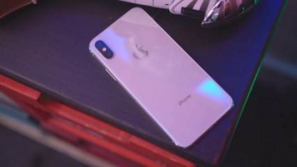 OnePlus 6 vs iPhone X- Camera Comparison Test Dom Esposito