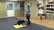 Dog Training with a Gentle Leader or Halti Collar - the Place Command (K9-1.com)
