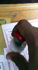 Sandıkta hile görüntülerinden sonra ne oldu