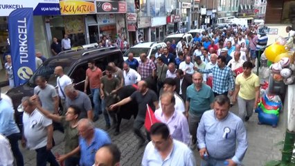 Artvin Kafkasör Festivali, Boğalı Kortej Yürüyüşü ile başladı