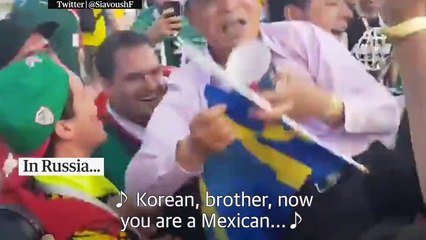 South Korean fans mobbed by Mexicans after Germany's World Cup exit