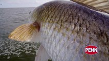 Fish Fights presented by PENN®  – Monster Redfish in Hopedale, Louisiana