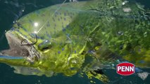 Fish Fights presented by PENN® – Mahi Over Miami