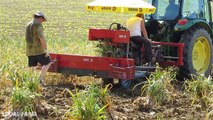 Garlic Harvester Machine  Harvesting Garlic Time  Noal Farm modern agriculture  2017