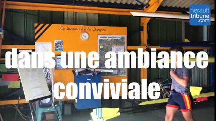 SPORT NAUTIQUE - A la découverte de l'Aviron Agathois