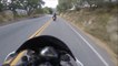 Ces motards roulent à toute vitesse sur une route de montagne en Harley davidson