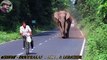 Ce cycliste a eu la peur de sa vie en se faisant pourchasser par un éléphant en colère