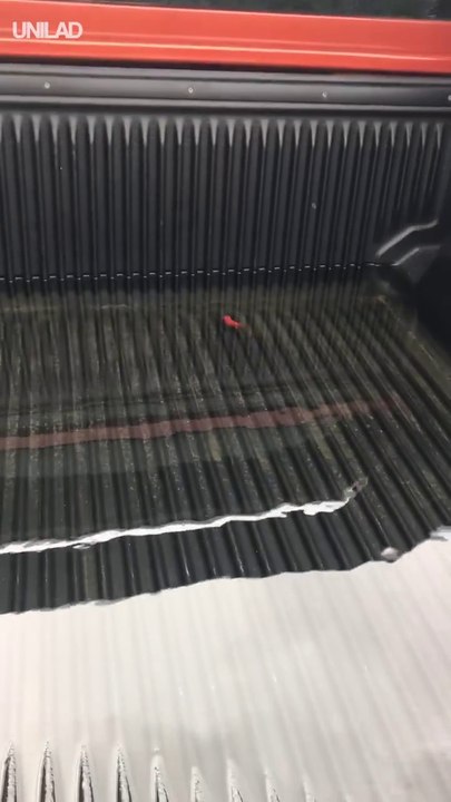 Il a un poisson rouge dans la remorque de son pick-up