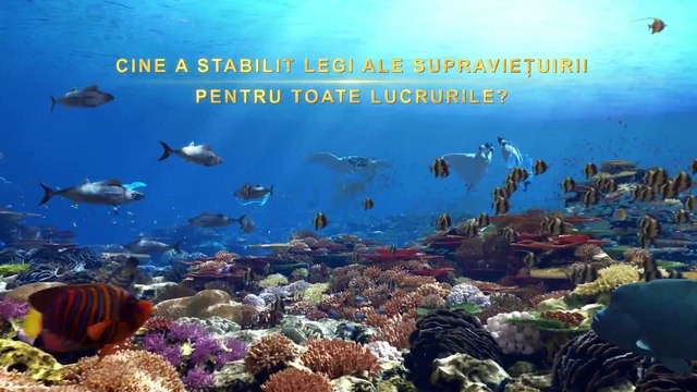 Muzica Crestina „Acela care deține suveranitatea peste toate lucrurile” Documentar muzical | Mărturie despre puterea lui Dumnezeu