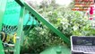 Harvesting Black Currant  Black Currant Harvesting Machine mega modern agriculture Noal Farm 2017