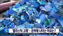 [별별영상] '플라스틱 고래'…운하에 나타난 이유는?
