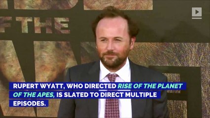 'Halo' TV Series To Be Showtime's 'Most Ambitious Show Ever'