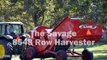 Pecan Harvesting Machine mega modern agriculture - Pacan Harvested and Processing - Noal Farm 2017