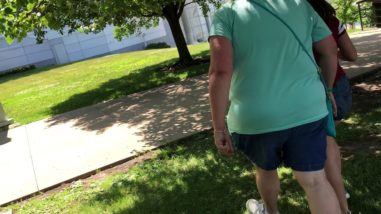 Being swarmed by mayflies