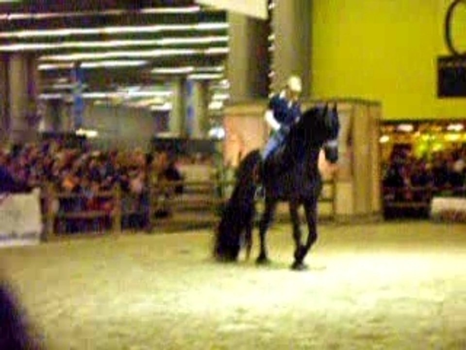 Démonstration dressage de frison au salon du cheval 2007