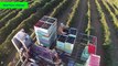 Blackberry Harvesting machine mega modern agriculture - Intelligent technology farming Harvest 2017