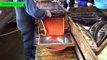 Salmon Egg Harvest - Salmon eggs harvesting Processing - Modern aquaculture 2017
