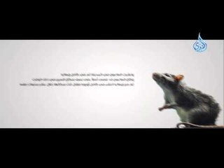 حقائق غريبة 23 - من أعظم الاخطاء في العالم  -الفئران الثلاثة