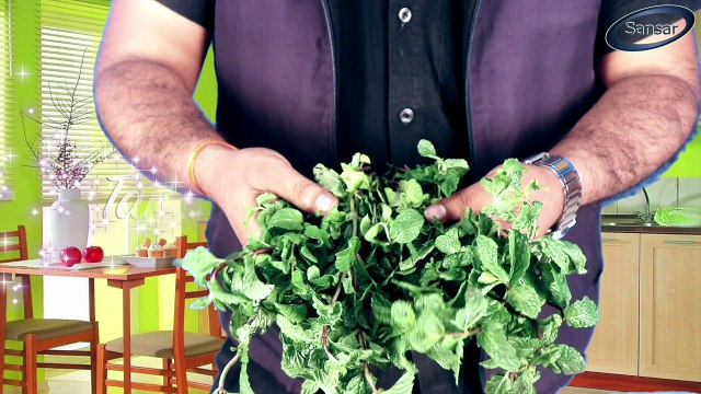 How to Grow Mint from cutting II All ALL About Growing Mint II पुदीना के पौधे को आसानी से कैसे लगायें || How to grow mint easily || Mint Farming || DIY mint Growing || Pudina Growing || Mint Plantation