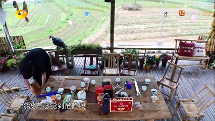 《向往的生活2》双播 何炅Cut：是你劈开的没错！“何二舅”成功劈柴居然一脸蒙圈 Back to Field S02【湖南卫视官方频道】_002