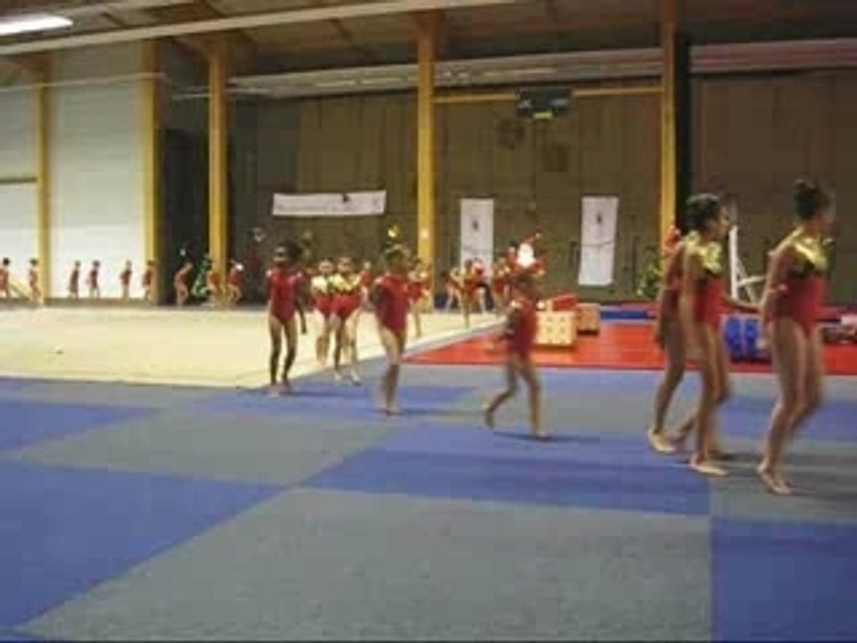 Fête de la gymnastique 2007 à La-Ferté-sous-Jouarre