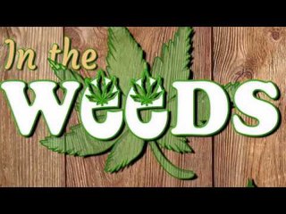 Jimmy Young & Dan McCarthy of Sensi Media of Boston - In The Weeds Podcast