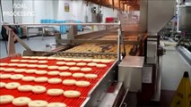 Crazy Food Processing Automatic Line - Donut Processing Machine Making