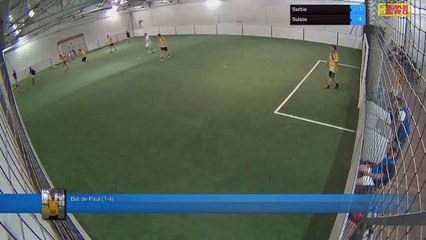 But de Paul (1-4) - Serbie Vs Suisse - 28/06/18 22:00 - CDM 2018 Poule E 28/06 - Poitiers Game Parc