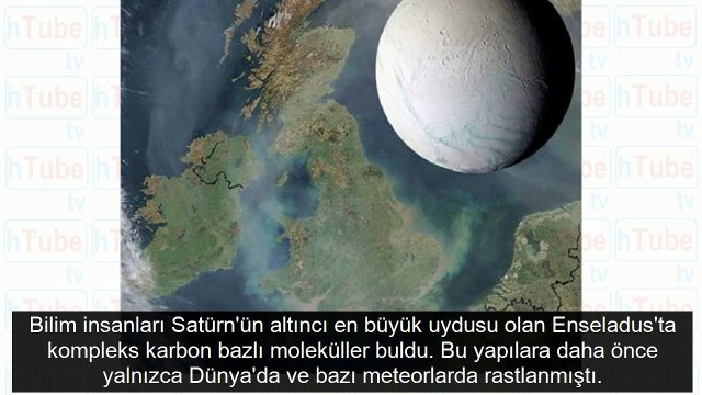 İlk kez görüldü! Dünya bu olayı konuşuyor