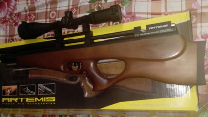 best pest bird hunting for eating