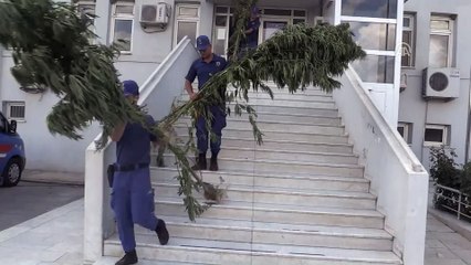 Aydın'da uyuşturucu operasyonu