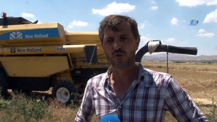 Biçerdövercilerin zorlu mesaisi