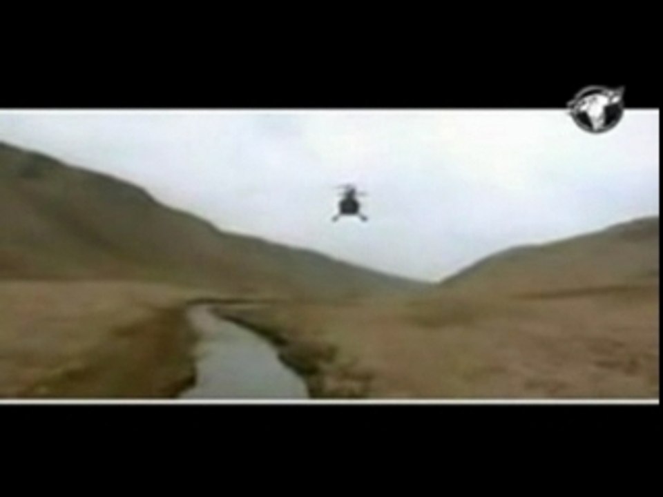 Eurorap Megamix: "The Beauty Of Eurorap"