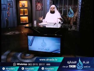 الناس كإبل مائة قل أن تجد فيهم راحلة | الشيخ متولي البراجيلي