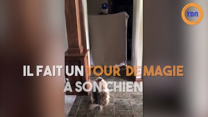 Il fait un tour de magie à son chien