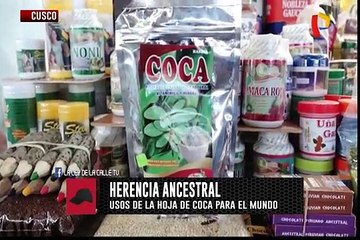 Conozca las propiedades de la milenaria hoja de coca