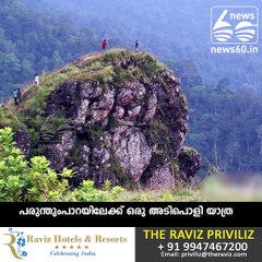 പരുന്തുംപാറയിലേക്ക് ഒരു അടിപൊളി യാത്ര   സുന്ദരിയായി പരുന്തുംപാറ