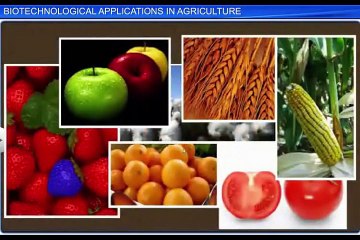 (1)CBSE Class 12 Biology, Biotechnology And Its Applications -1, Biotechnological Applications In Ag