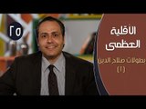 الأقلية العظمى |ح25| بطولات صلاح الدين (1)| الدكتور ياسر نصر