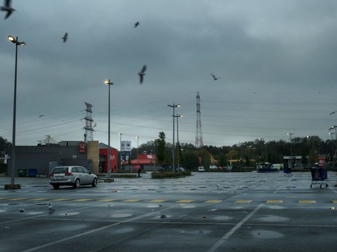 Rêver sous le capitalisme: Trailer HD VO st EN