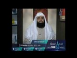 هل ثبت أن العباس سمع أبا طالب وهو يتمتم بلاإله إلا الله ؟|الشيخ متولي البراجيلي