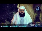 مولد عثمان رضي الله عنه ونسبه | ح1 | الخليفتان | الشيخ متولي البراجيلي
