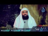 فضائل علي رضي الله عنه | ح16| الخليفتان | الشيخ متولي البراجيلي