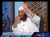 نواقض الوضوء 2| مجلس الفقه | ح9 | الدكتور محمد حسن عبد الغفار