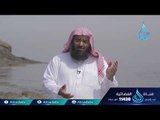 قصه صلى الله عليه وسلم | أطفال فى حجر الحبيب| ح18 | الشيخ علي بن أحمد باقيس