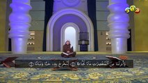 Idrees Al Hashemi Recitation of Surah Al-Naba'a |   #إدريس الهاشمي | Surah Al-Naba'a    سورة النبأ  | Islamic Media