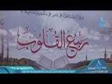 القرآن | ح1| ربيع القلوب | الشيخ محمد حسين يعقوب